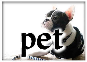 ペット